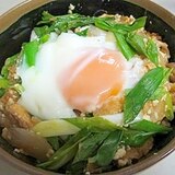 節約！ヘルシー！うすあげ丼です